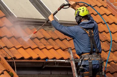 Démoussage et hydrofuge de toiture à la Buissière